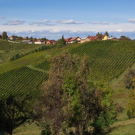 Bed and Breakfast Wine & Tourism Bracko Spodnji Jakobski Dol Esterno foto