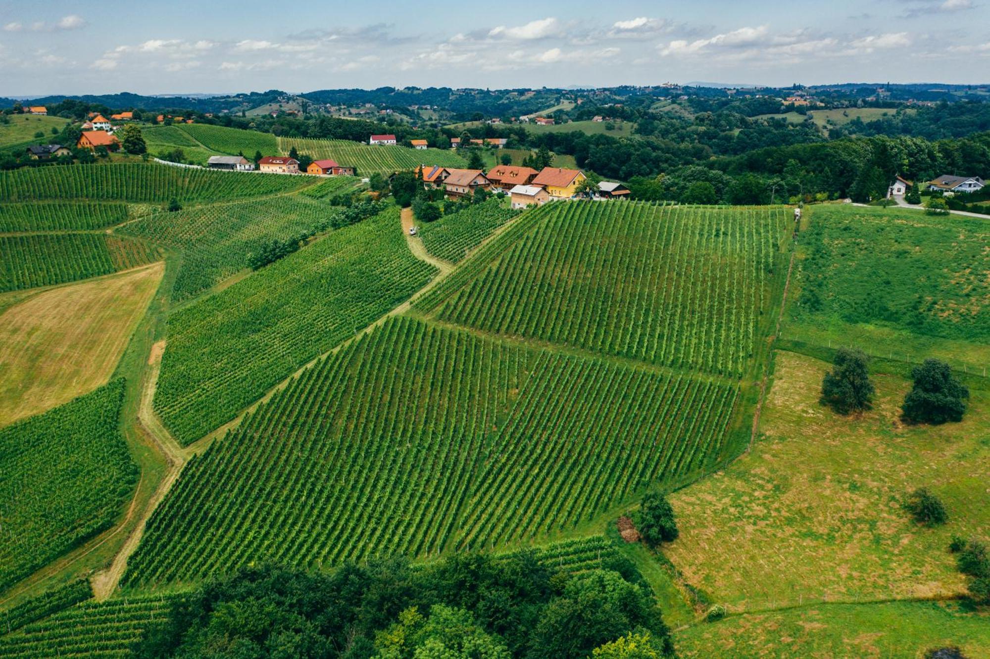 Bed and Breakfast Wine & Tourism Bracko Spodnji Jakobski Dol Esterno foto