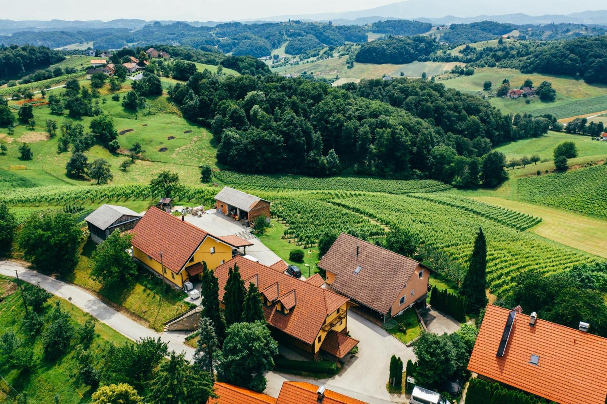 Bed and Breakfast Wine & Tourism Bracko Spodnji Jakobski Dol Esterno foto